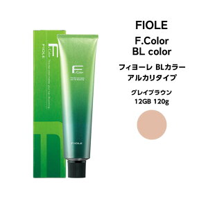 tB[ FJ[ BLJ[ AJ^CvOCuE 12GB 120g