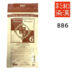 y[֑zaʐ \ BB6 120gy򕔊Oiz  wAJ[