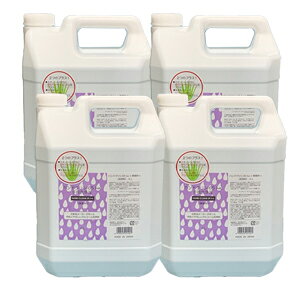 nhN65ha i 4LjAR[ 65 G^m[ xURjE OZ  ێ Ƃ 蔧ɗD ܂ƂߔłI