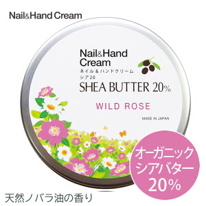 lCnhN[ VA20 Ch[Y (50g) VAo^[ 20 nhN[ lCPA {fBPA VAo^[ GRT[gF  邨 ێ I[KjbN [Y VR