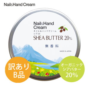 y󂠂BizydʕszlCnhN[ VA20 i50gjVAo^[ 20 nhN[  nhPA lCPA I[KjbN Ƃ 邨 {fBPA VA