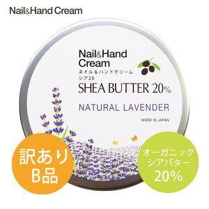 y󂠂BizydʕszlCnhN[ VA20 i`x_[ i50gjVAo^[ 20 nhN[ i` lC lCPA r r  I[Kjb