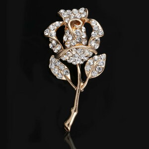 ylR|X֑Ήzo KN u[`  u[` ̓ 蕨 Mtg WG[