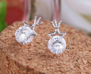 ylR|X֑Ήz X^[ sAX 925Vo[ AM[Ή