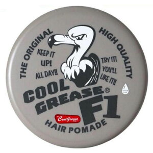 �y���|�C���g�o�b�N��!!���Ԓ��|�C���g2�{!!�z�t�@�C�� �N�[���O���[�X F1 210g