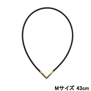 Rgbe TAO lbNX VEGA NEXT NVbNS[h×ubNyMTCY 43cmz