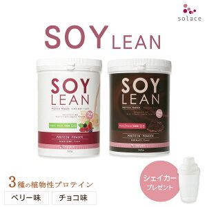 \C[Plus veC x[ _ yVFCJ[tz AveC \CveC veCpE_[  ݂₷ 30 40 50 e _CGbg veB 哤veC