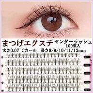 セルフマツエク センターラッシュ 太さ0.07 8mm 9mm 10mm 11mm 12mm 全サイズ(100束)セット 部分用 ロン…
