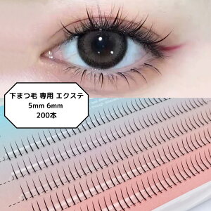 ���܂� ��p �G�N�X�e 5mm 6mm (200�{)�Z�b�g �����p �|�C���g ���܂� �A�C���b�V�� �܂уG�N�X�e ���ʖ� �Z���t�}�c�G�N