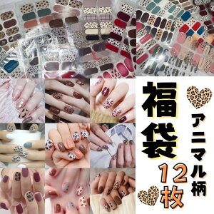  12 Aj} nhp lCV[ nhlCV[ \邾 ȒP  tJo[ qE  ؍ lCXebJ[