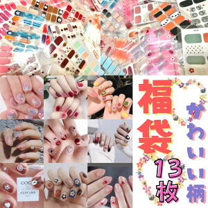  13 킢 nhp lCV[ nhlCV[ \邾 ȒP  tJo[  Jt  ؍ lCXebJ[