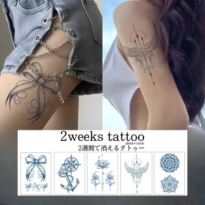 V HC WOA^gD[V[ 2T ^gD[V[ tFCN^gD[ CN RXv wi^gD[ a   n[g r At@xbg 킢  p