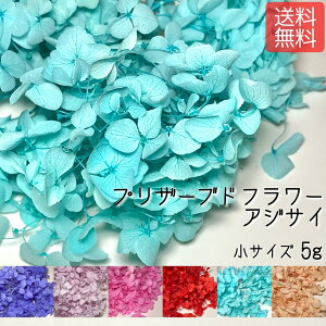 y`OzvU[uht[@AWTC@TCY@5g 6F@zԁ@vU[uh@fށ@ޗ@|@Lh@ށ@ԁ@t[@ԁ@nhCh@n[oE