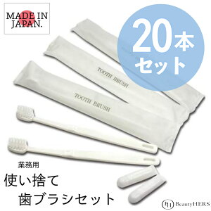 Ɩp@ĝā@uVZbg@20{@@ze@TEi@@AjeB@uVZbg@{@͂Ԃ炵@tB[h@Made In Japan@s@q@ҁ@