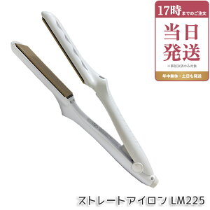 �y�ۏ�1�N�t���z���� �L�k�[�W�� KINUJO �X�g���[�g�w�A�A�C���� �z���C�g LM225 �w�A�A�C���� �_���[�W�P�A 220�� �v���d�l �V���N�v���[�g ���Z �c���� ���˂�΍� ���x���� ���� ���� ���e�� 