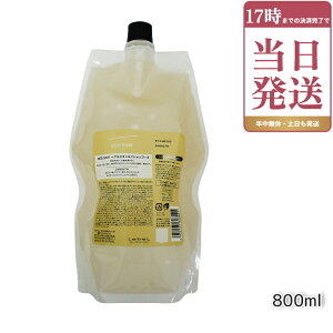 ���x�� LEBEL �V�[�\�[ �w�A&�X�L�����v�V�����v�[S 800ml ���t�B�� �l�ߑւ� SEE/SAW �������K�i