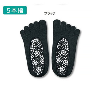 y{zTSUBOVs  Jo[\bNX 25-27cm 5{w ubN  tbg  c{ NC N\bNX NT_    c{ ډ c{  