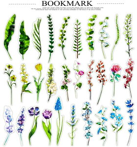  x 30Zbg  t[ ` ʉ ubN}[N Jt   } 30̃p^[SĈقȂ Zbg 3013