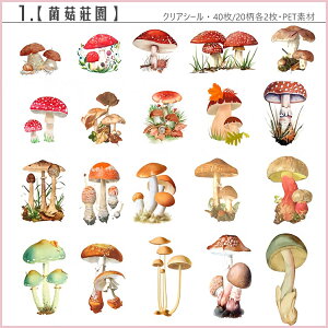 o 傫 40 ϐ PET V[ NAV[ CO XebJ[ V[ R[Wf KN A  t[ t ʎ t[c ؂̎ ̂    CXg V[ W