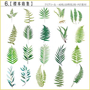 o 傫 40 ϐ PET V[ NAV[ CO XebJ[ V[ R[Wf KN A  t[ t ʎ t[c ؂̎ ̂    CXg V[ W