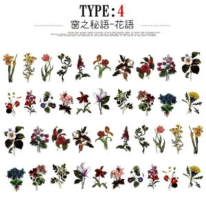 o COXebJ[ 傫 t[NV[ NAV[ 40 PET V[ R[Wf A  t[ t ʎ t[c zCg ubN VN mN WNW