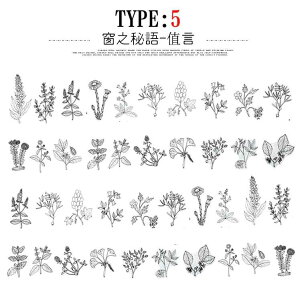 o COXebJ[ 傫 t[NV[ NAV[ 40 PET V[ R[Wf A  t[ t ʎ t[c zCg ubN VN mN WNW