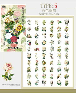 o 60 60 V[ 傫 g KN [Y gy V[ R[Wf  _ COXebJ[ 蒠fR fR[Vf ACe AW WNW[