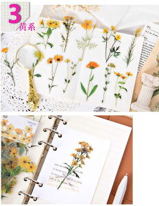 o COV[  t[NV[ R[W f COXebJ[ PET NAV[ A t[ t hCt[ `[bv WNW[i fR[V |  