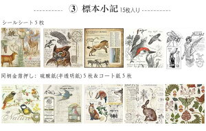 o  g V[V[g fUCy[p[ 傫 _ 3ގ COV[ R[Wf W[i Be[W AeB[N 蒠fR fގ fރy[p[ A