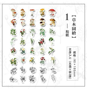 o 80 CO XebJ[ 傫 t[NV[ }XeV[ ؎ X^v V[ re[W AeB[N R[Wf 蒠fR g fRV[  A 蕨  t