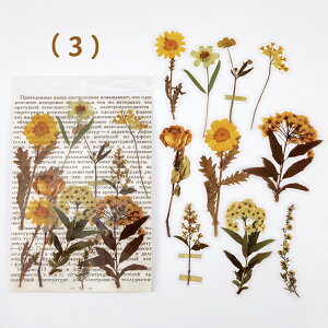 o NAV[ 傫  V[ [WTCY XebJ[ R[W f V[ PET ϐ COXebJ[ A ԕ t[ KN [Y t A hCt[ t 