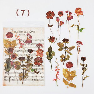 o NAV[ 傫  V[ [WTCY XebJ[ R[W f V[ PET ϐ COXebJ[ A ԕ t[ KN [Y t A hCt[ t 