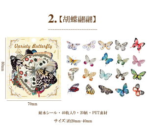 o t[NV[  R[W f Zbg fR[V COXebJ[ V[ COV[ X o^tC 40 PET ϐ _CJbg NA V[ WNW[i 