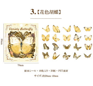 o t[NV[  R[W f Zbg fR[V COXebJ[ V[ COV[ X o^tC 40 PET ϐ _CJbg NA V[ WNW[i 