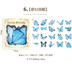 o t[NV[  R[W f Zbg fR[V COXebJ[ V[ COV[ X o^tC 40 PET ϐ _CJbg NA V[ WNW[i 