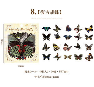 o t[NV[  R[W f Zbg fR[V COXebJ[ V[ COV[ X o^tC 40 PET ϐ _CJbg NA V[ WNW[i 