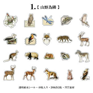 o NAV[ t[NV[ COXebJ[  ϐ _CJbg V[ R[W f Zbg 40 PET  t[ A Cm  t[c NAV[ WNW