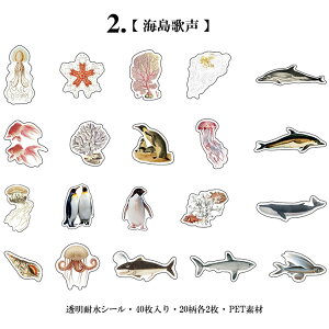 o NAV[ t[NV[ COXebJ[  ϐ _CJbg V[ R[W f Zbg 40 PET  t[ A Cm  t[c NAV[ WNW