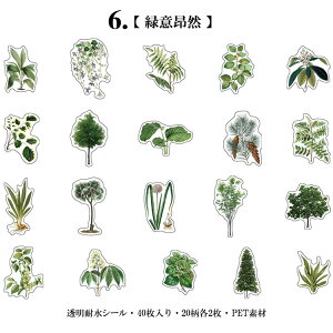 o NAV[ t[NV[ COXebJ[  ϐ _CJbg V[ R[W f Zbg 40 PET  t[ A Cm  t[c NAV[ WNW