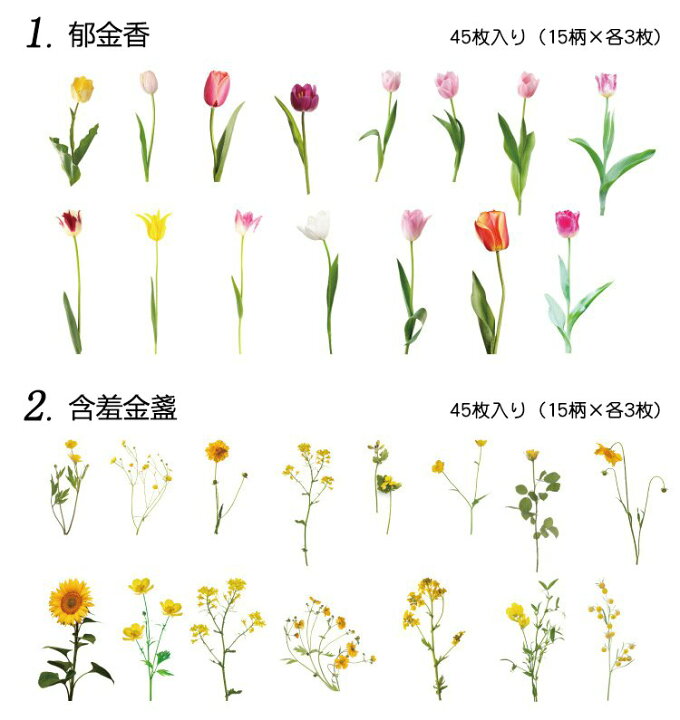楽天市場 即日出荷 花 フラワー やや大きめ 海外シール マステシール ステッカー コラージュ 素材 手帳デコ デコシール ジャンクジャーナル ビンテージ アンティーク レトロ 植物 マスキングテープ素材 45枚入り デコ素材 おしゃれ 手帳 日記 アルバム 手芸 アレンジ