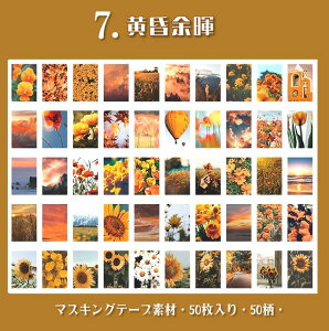 o COV[ }XLOe[vf 50Ԃ ~jV[ubNF8큟a  XebJ[ 蒠fR }Xe R[Wf g bsO g  J[ A i