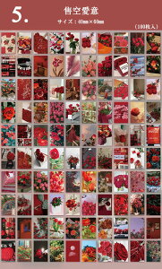 o 100 COXebJ[ lG  Ԍt F J[ ʐ^ tHgV[ 蒠fR R[W f  WNW[i fR[V fR V[ CX^ SNS 蒠 