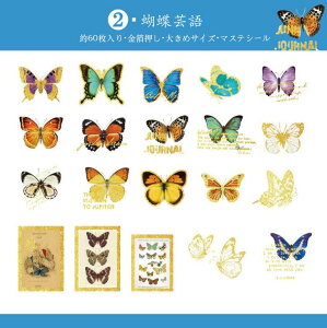 o  COXebJ[ 傫 }XeV[ 60 R[Wf 蒠fR WNW[i t[NV[  S[h mg[  t[  X o^tC r