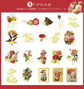 o  COXebJ[ 傫 }XeV[ 60 R[Wf 蒠fR WNW[i t[NV[  S[h mg[  t[  X o^tC r