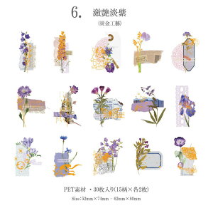 o   [X p V[ t[NV[ COXebJ[ COV[ 30 NAV[ PET WNW[i 蒠fR 蒠 AW R[W f ϐV[ 