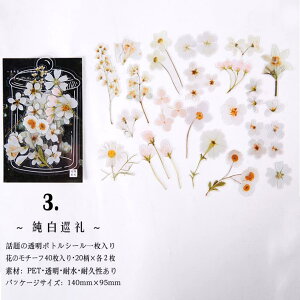 o {g r V[  t[NV[ KXr 蒠fR fR[V fRV[ R[Wf COXebJ[ COV[ V[ zCg PET r V[ {gV[ 