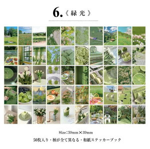 o V[ubN }XLOe[vf 50Ԃ ~jV[ubN a  COXebJ[ 蒠fR ACe AW }Xe R[Wf g g  J[ A 