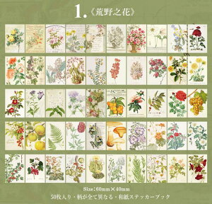 o COV[ CX^ }Xe V[ubN 50 }XLOe[vf 蒠fR fRV[ }XeV[ R[Wf g 蒠V[ g  p A i l 