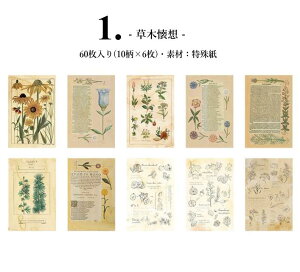 o Be[W fUCy[p[ wi 蒠fR fRf 60 AW ACe fރy[p[ AeB[N fގ g fރy[p[ R[Wf WNW[i 