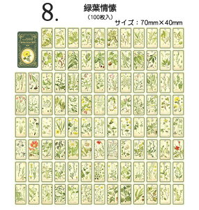 o 100 Be[W y[p[ fގ Jrit CO g fUCy[p[ CXgJ[h mN mg[ 蒠 fR R[W f WNW[i k b d